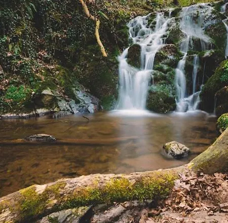 Haus Am Berg באד ברטריך