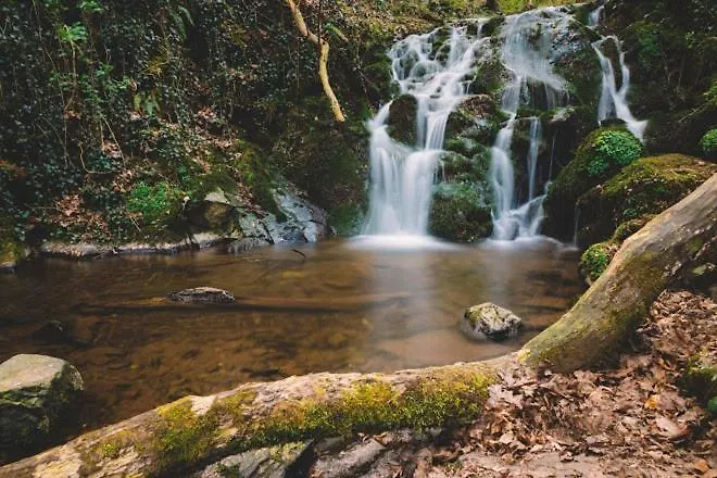 Haus Am Berg Bad Bertrich