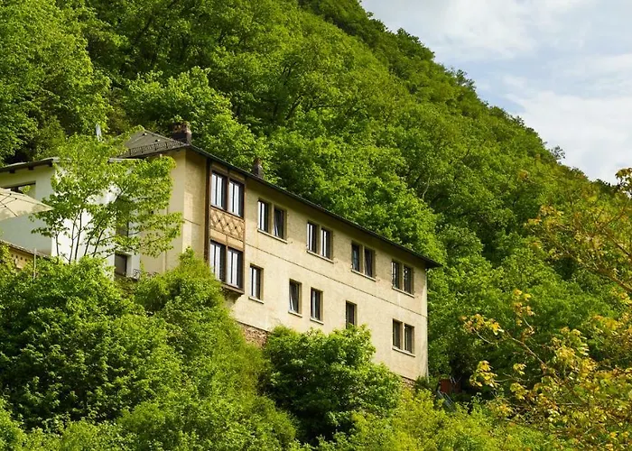 Haus Am Berg * Bad Bertrich